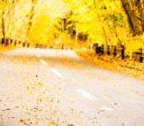 How to prepare your car for autumn?