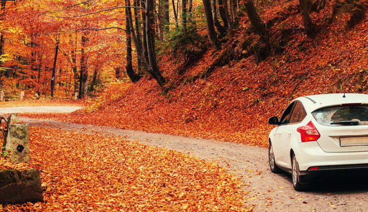 How to prepare your car for autumn?