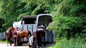 Which license to guide a horse van? Tips, errors, ...