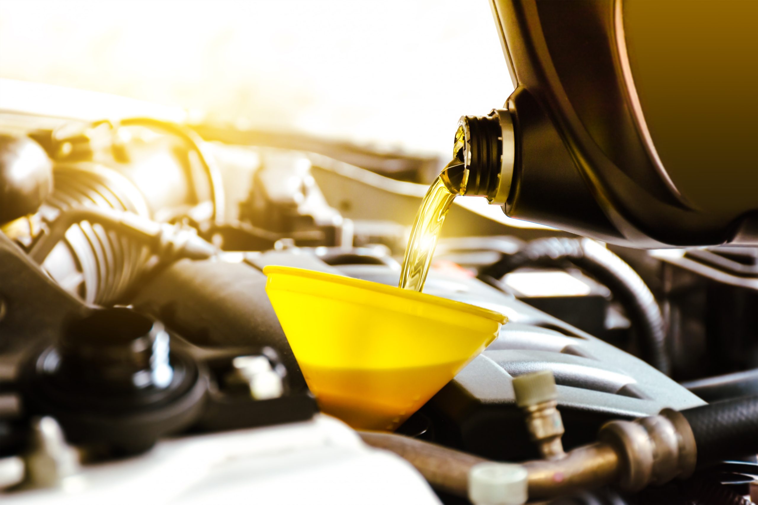Model Motor Oil: importance, frequency and correct procedure - Autokappa | Blog | Autokappa