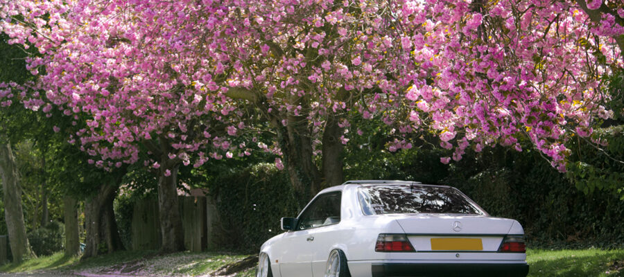 Spring arrives ... and for your car - Autokappa | Blog | Autokappa