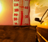 Cool your car in summer | Parks the car in the shade