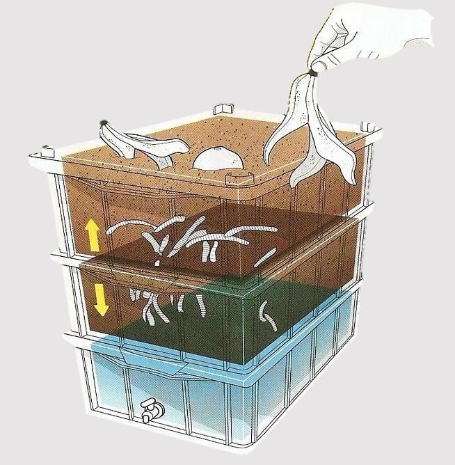 Domestic composting Domestic composting